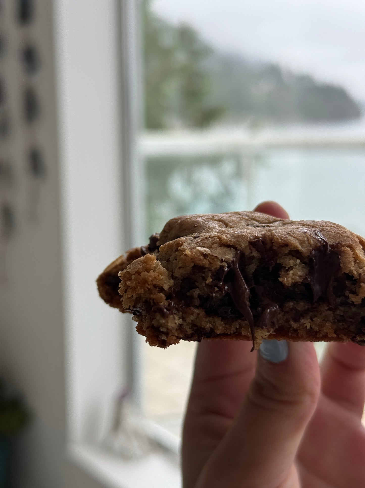 Mammas Chocolate Chip Cookies