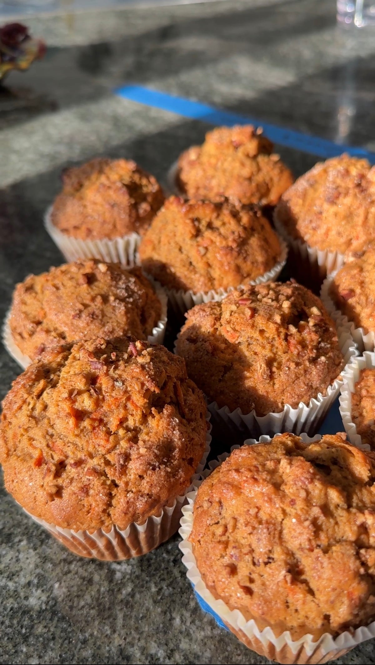 Rainy Day Carrot Pecan Muffins