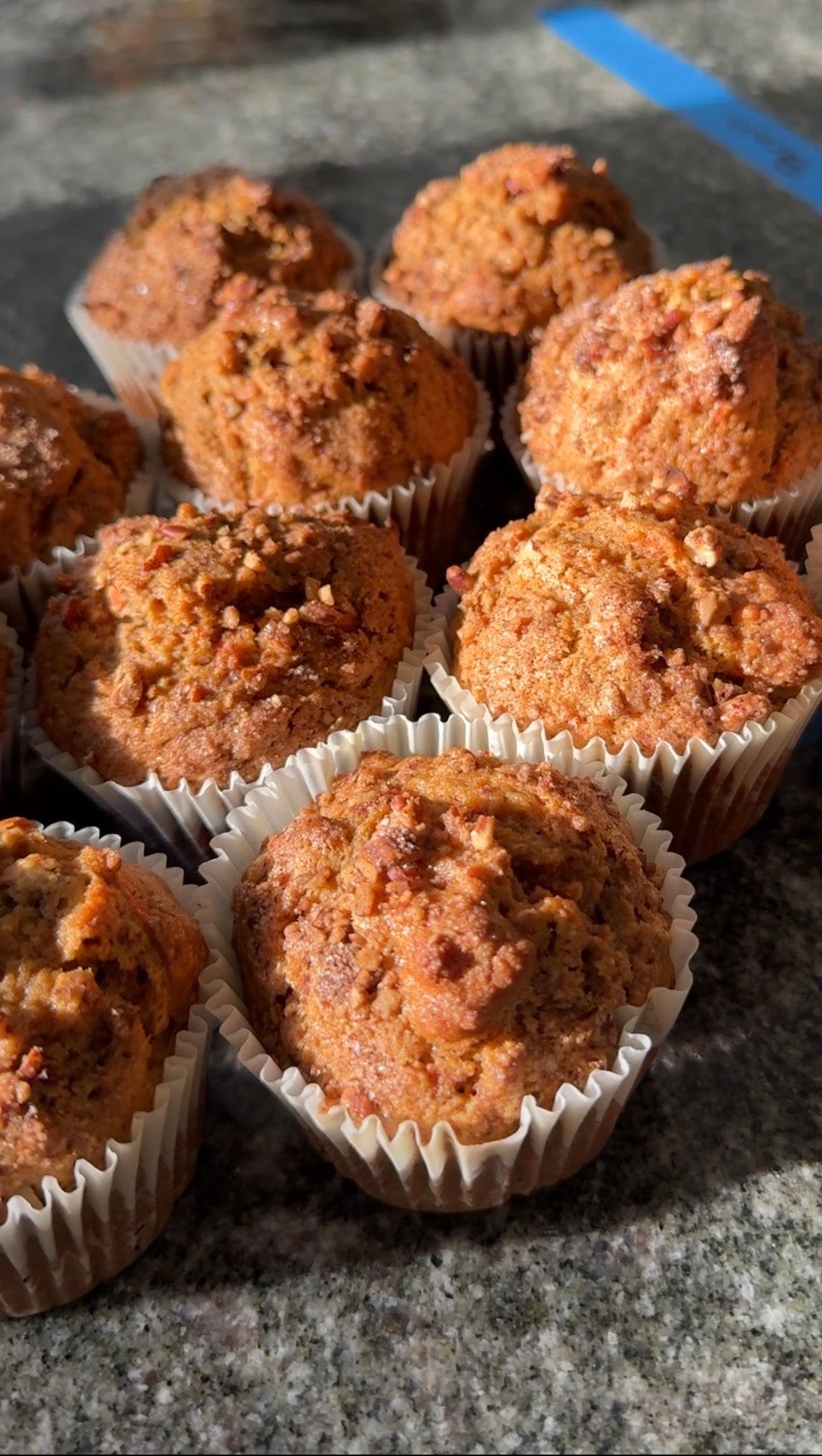 Rainy Day Carrot Pecan Muffins